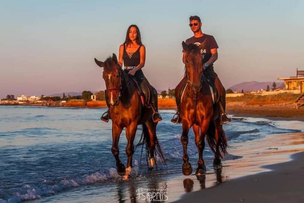 Doxa'S Place Kandiye Dış mekan fotoğraf
